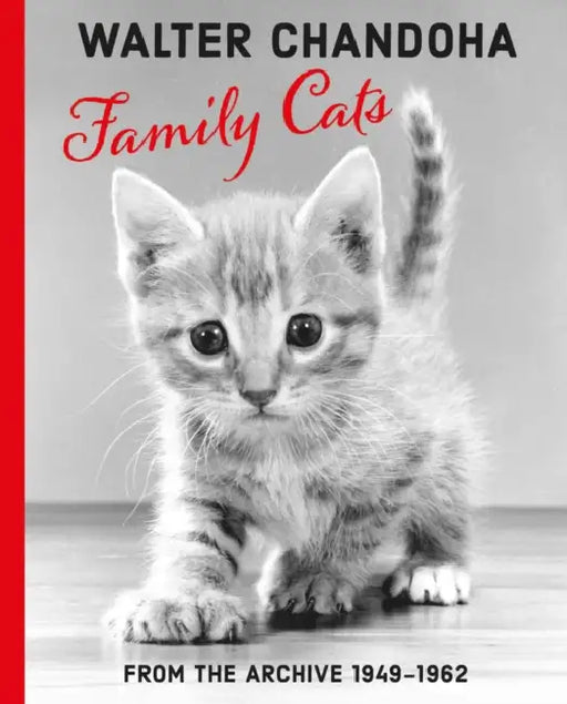 Walter Chandoha: Family Cats: From the Archive 1949-1968 by Walter Chandoha, Grace Coddington