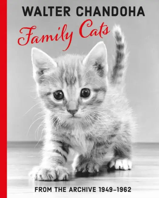 Walter Chandoha: Family Cats: From the Archive 1949-1968 by Walter Chandoha, Grace Coddington