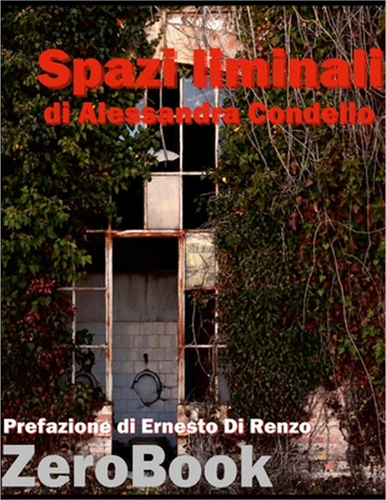 Spazi liminali by Alessandra Condello