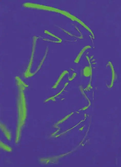 Hoda Kashiha: Slipping on Fragmented Shapes by Hoda Kashiha, Lillian Davies, Loic Le Gall