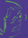 Hoda Kashiha: Slipping on Fragmented Shapes by Hoda Kashiha, Lillian Davies, Loic Le Gall
