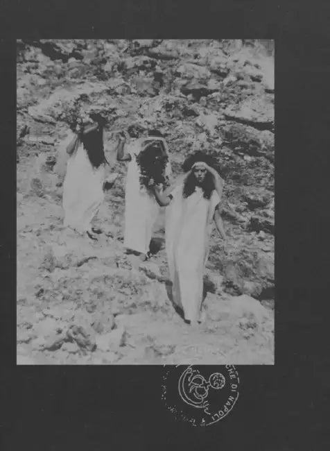 Le Nemesiache: Reclaiming Mythological Rituals by Sonia D'Alto, Chiara Bottici, Federica Bueti