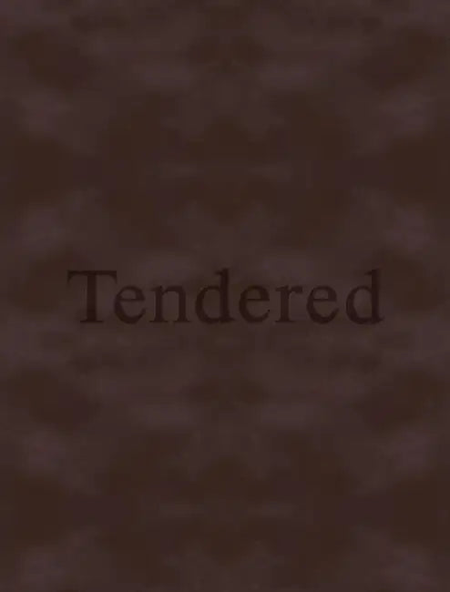 Karimah Ashadu: Tendered by Karimah Ashadu, Leonardo Bigazzi, Alessandro Rabottini