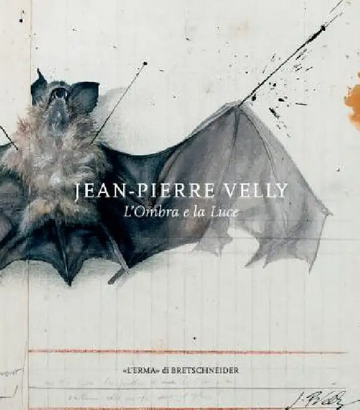 Jean-Pierre Velly: L'Ombra E La Luce by Pier Luigi Berto, Ginevra Mariani, Marco Nocca