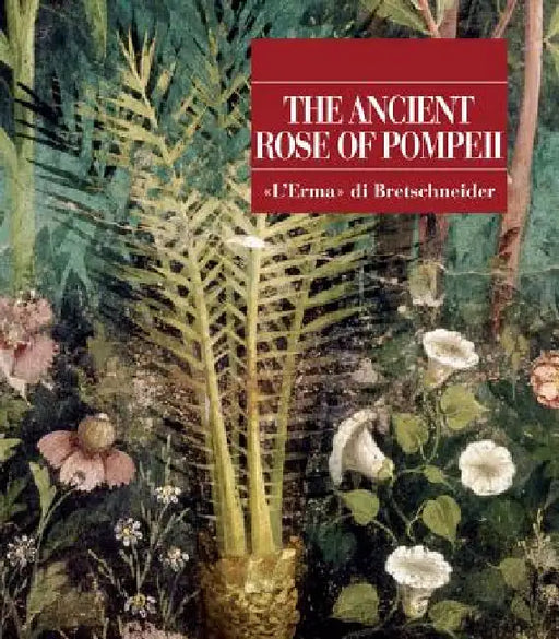 The Ancient Rose of Pompeii by Ernesto De Carolis, Adele Lagi, Gaetano Di Pasquale