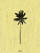 Decoding Palm Culture by Francesco Ragazzi