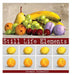 Still Life Elements by Antonio Rafanelli