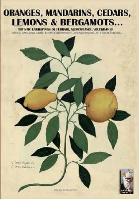 Oranges, mandarins, cedars, lemons & bergamots..: Artistic engravings of Ferrari, Aldrovrandi, Volckhamer... by Luca Stefano Cristini