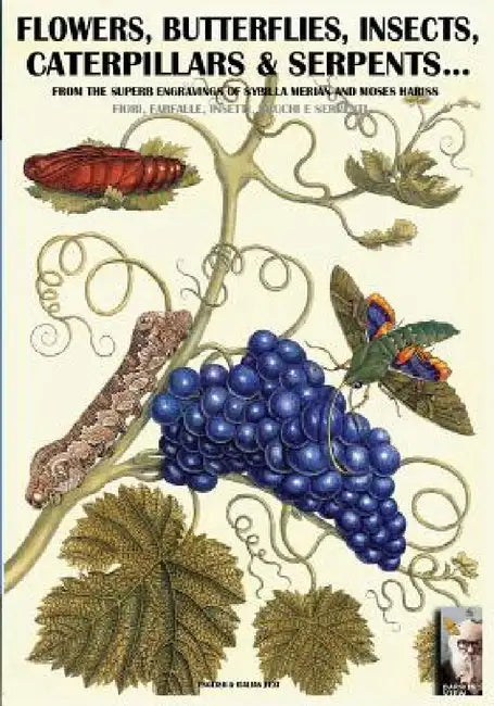 flowers, butterflies, insects, caterpillars & serpents...: From Sybilla Merian & Moses Hariss XVII-XVIII Centuries engravings by Luca Stefano Cristini, Sybilla Merian, Moses Harris