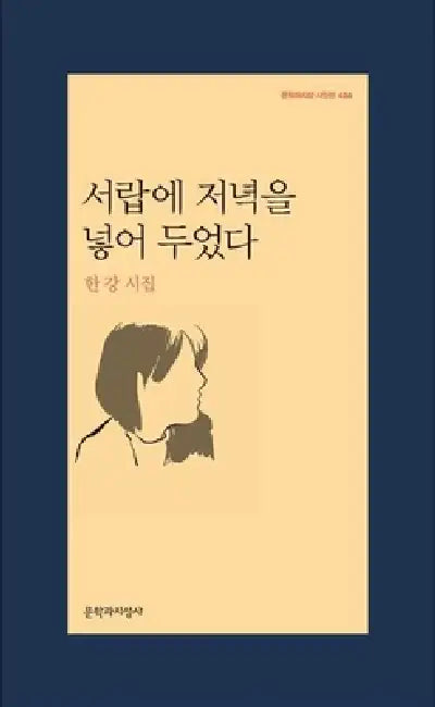I Had Put Dinner in the Drawer by Han Kang