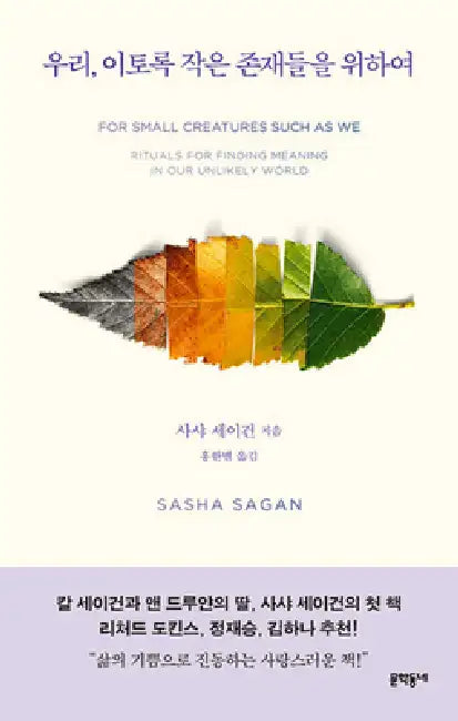 For Small Creatures Such as We by Sasha Sagan