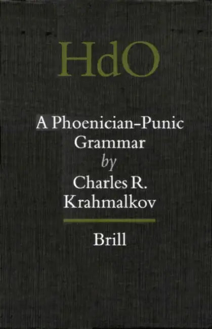 An Introductory Grammar of Rabbinic Hebrew by Miguel Pérez Fernández, John F. Elwolde