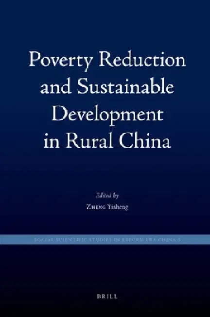 Poverty Reduction and Sustainable Development in Rural China by Yisheng Zheng, Bryan G. Davis, Bryan G. Davis