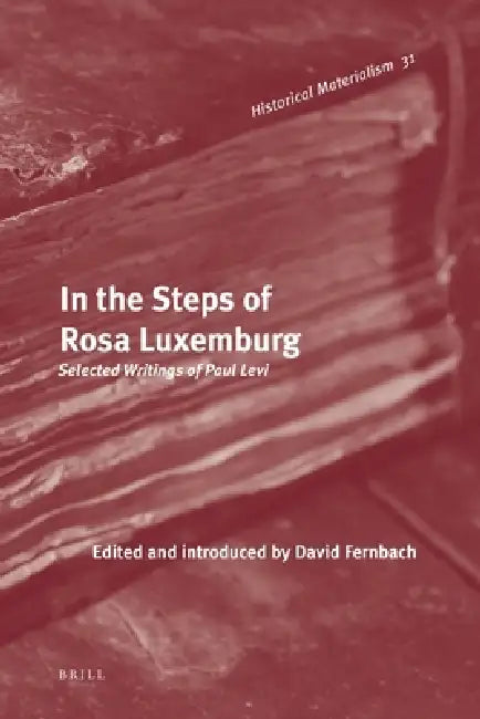 In the Steps of Rosa Luxemburg: Selected Writings of Paul Levi by David Fernbach