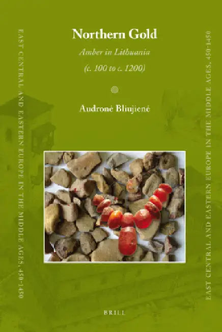 Northern Gold: Amber in Lithuania (C. 100 to C. 1200) by Audrone Bliujiene