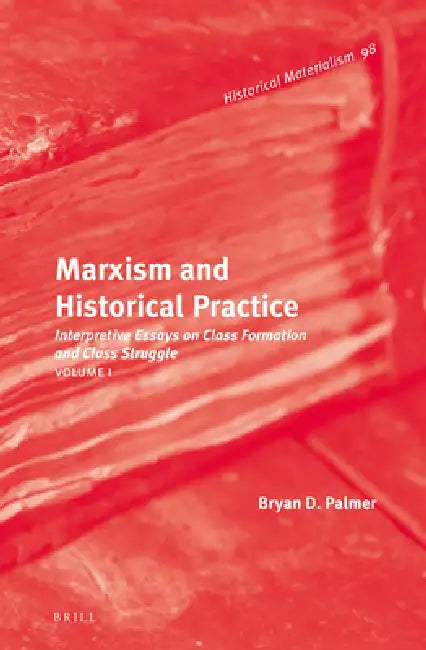 Marxism and Historical Practice (Vol. I): Interpretive Essays on Class Formation and Class Struggle. Volume I by Bryan D. Palmer