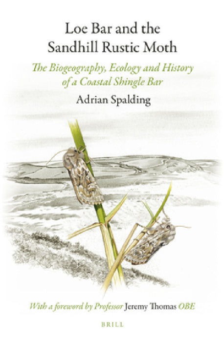 Loe Bar and the Sandhill Rustic Moth by Adrian Spalding