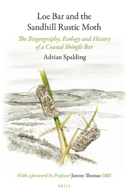 Loe Bar and the Sandhill Rustic Moth by Adrian Spalding