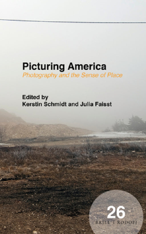 Picturing America by Kerstin Schmidt