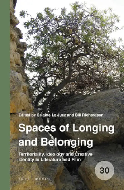 Spaces of Longing and Belonging: Territoriality, Ideology and Creative Identity in Literature and Film by Brigitte Le Juez, Bill Richardson