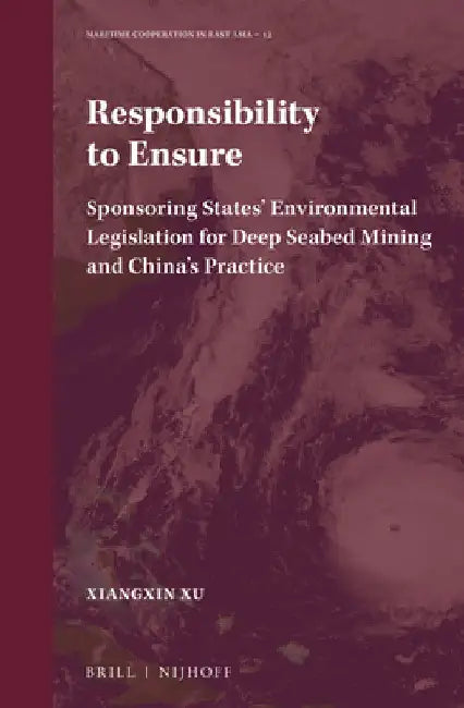 Responsibility to Ensure by Xiangxin Xu