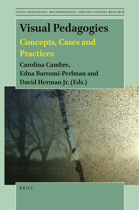 Visual Pedagogies: Concepts Cases and Practices by Carolina Cambre