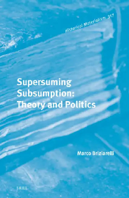 Supersuming Subsumption: Theory and Politics by Marco Briziarelli