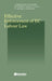 Effective Enforcement of EC Labour Law by Malmberg J