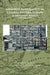 Minority Integration in Central Eastern Europe: Between Ethnic Diversity and Equality by Timofey Agarin, Malte Brosig