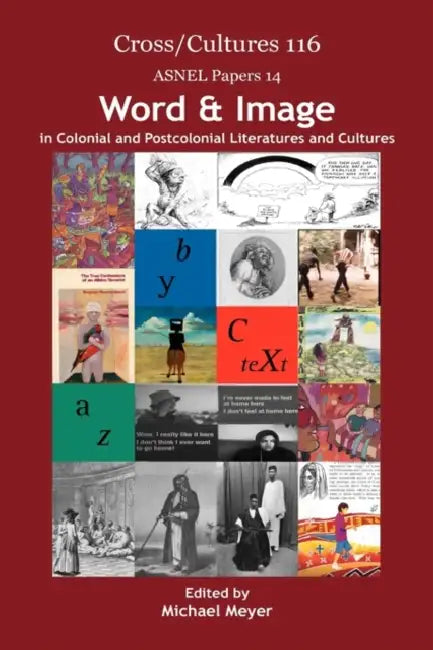 Word & Image in Colonial and Postcolonial Literatures and Cultures by Michael Meyer