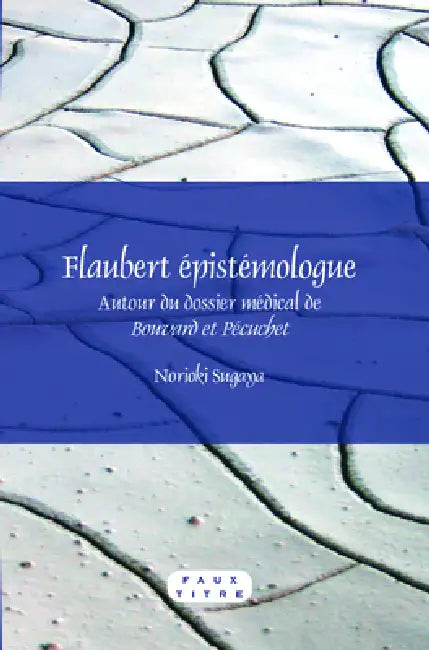 Flaubert épistémologue by Norioki Sugaya