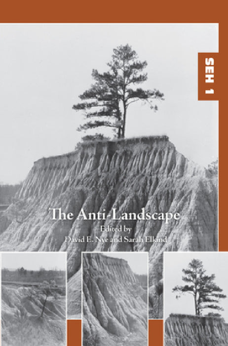 The Anti-Landscape by David E. Nye