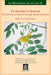 de Branche En Branche. Etudes Sur Les Xviie Et Xviiie Siecles Francais: 'Etudes Reunies Et Presentees Par Kris Peeters, Paul Pelckmans, Luc Rasson Et by D. Van Der Cruysse