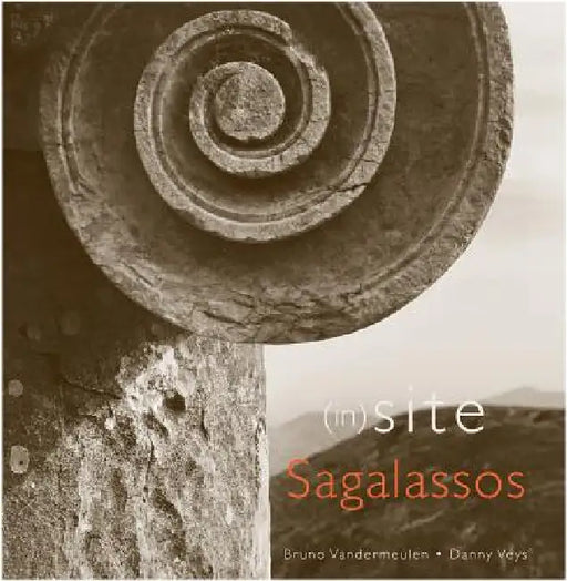 (In)Site Sagalassos by B. Vandermeulen, D. Veys