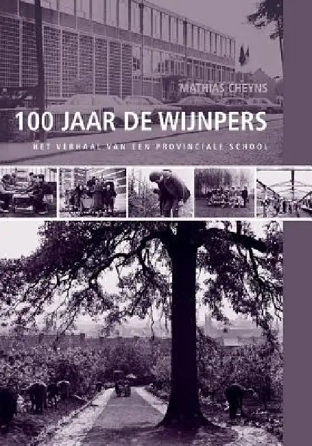 100 Jaar de Wijnpers: Het Verhaal Van Een Provinciale School by M. Cheyns