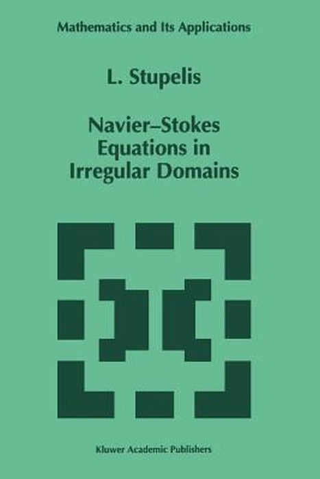 Navier-Stokes Equations in Irregular Domains by L. Stupelis