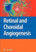 Retinal and Choroidal Angiogenesis by John Penn