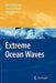 Extreme Ocean Waves by Efim Pelinovsky