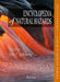 Encyclopedia of Natural Hazards by Pedro Basabe, Peter T. Bobrowsky, Tom Beer