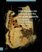 Otto Marseus Van Schrieck and the Art of the Butterfly: A Technical Study of Early Modern Lepidochromy by V. E. Mandrij