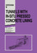 Tunnels With In-Situ Pressed Concrete Lining: Geotechnika - Selected Translations Of Russian Geotechnical Literature 9 by Ya I. Marennyi