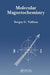 Molecular Magnetochemistry by Sergey Vulfson Phd