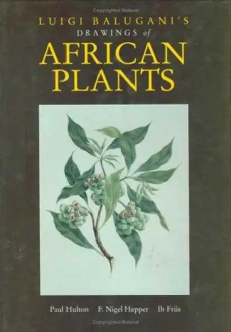 Luigi Balugani's Drawings of African Plants by Hulton Paul