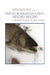 The Eurasian Huchen, Hucho Hucho: Largest Salmon of the World by J. Holcík, K. Hensel, J. Nieslanik