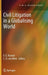 Civil Litigation in a Globalising World by X. E. Kramer