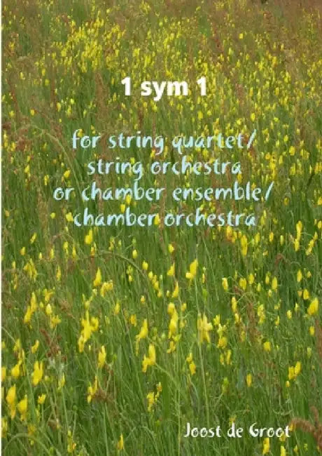 1 sym 1 for string quartet/string orchestra or chamber ensemble/chamber orchestra by Joost De Groot