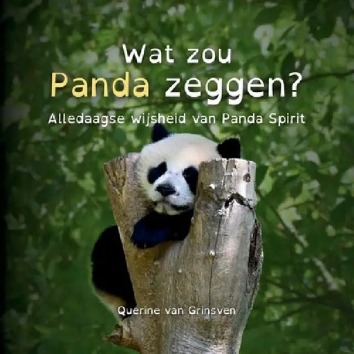 Wat zou Panda zeggen?: Alledaagse wijsheid van Panda Spirit by Querine Van Grinsven, Querine Van Grinsven, Jolanda Van Der Linden