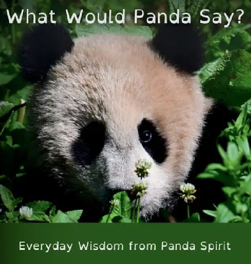 What Would Panda Say?: Everyday Wisdom from Panda Spirit by Querine Van Grinsven, Querine Van Grinsven, Jolanda Van Der Linden