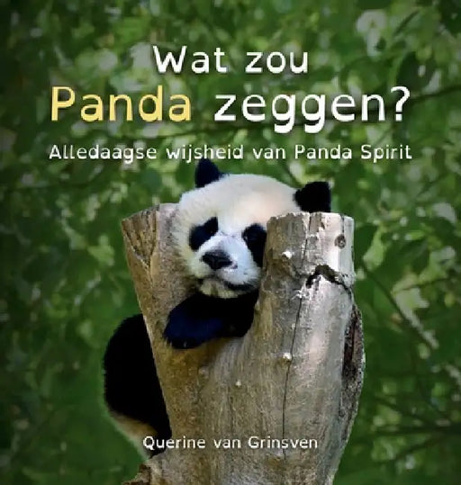 Wat zou Panda zeggen?: Alledaagse wijsheid van Panda Spirit by Querine Van Grinsven, Querine Van Grinsven, Jolanda Van Der Linden