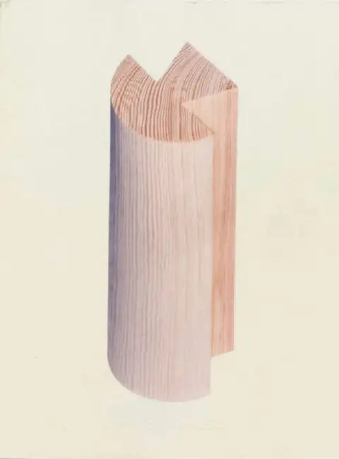 Objects in Dialogue by Shane Schneck